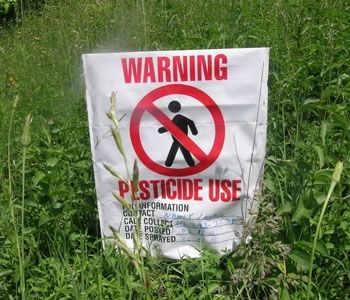 Pesticidi nel piatto: ancora troppe ombre