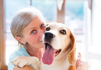 Max, un terapeuta con la coda