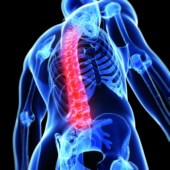 Cronoriflessologia: la medicina del quando