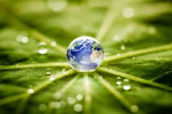 Le bufale sull’omeopatia