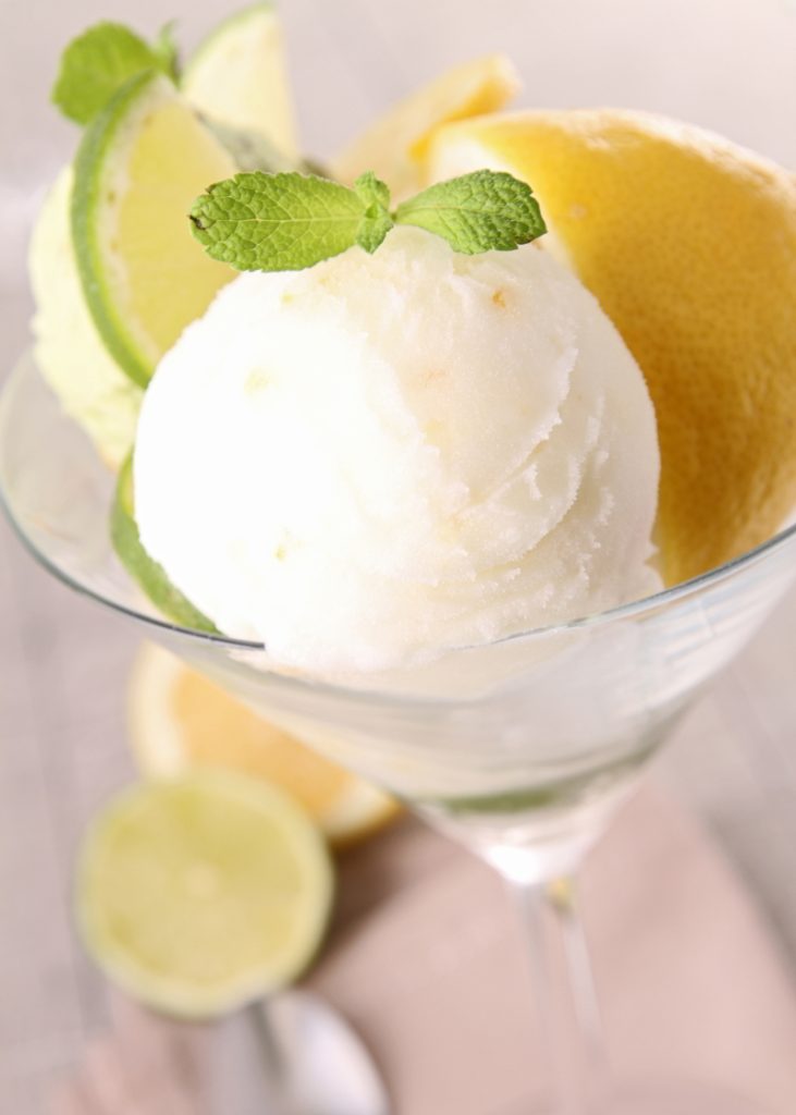 Sorbetto al sidro di mele sorbetto sidro di mele