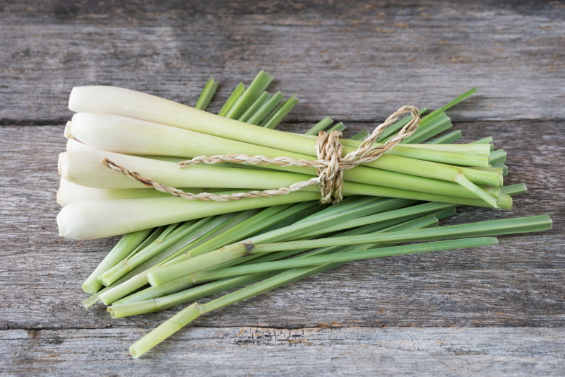 Una deliziosa insalata estiva insalata estiva con citronella