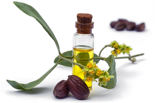 Uovo e oli vegetali in aiuto ai capelli