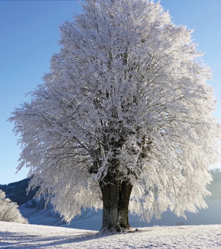 Long weekend di rigenerazione, 26-30 dicembre rigenerazione