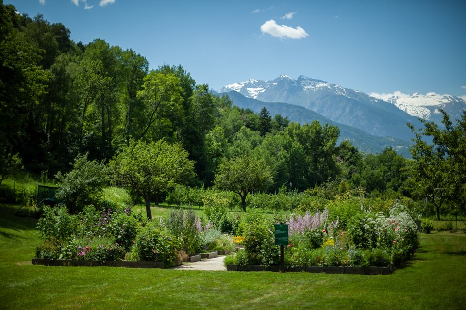 Orto-Giardino in Val d’Aosta, visita guidata – 9 giugno, Jovençan Orto-giardino Il Jardin des Anciens Remedès