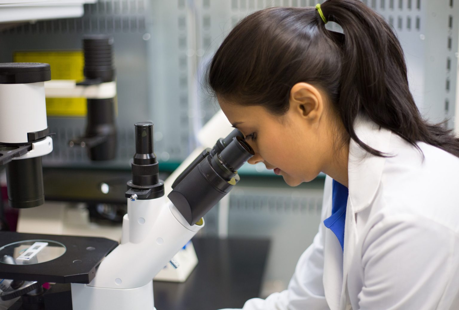 Università e Politecnico di Torino: il termomagnetismo può supportare la lotta contro il cancro