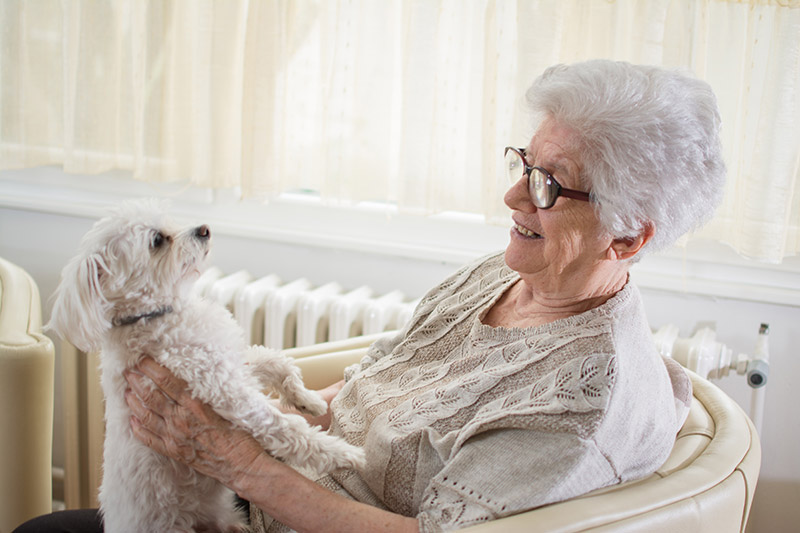 Festa dei Nonni e pet therapy – 2 ottobre, Roma