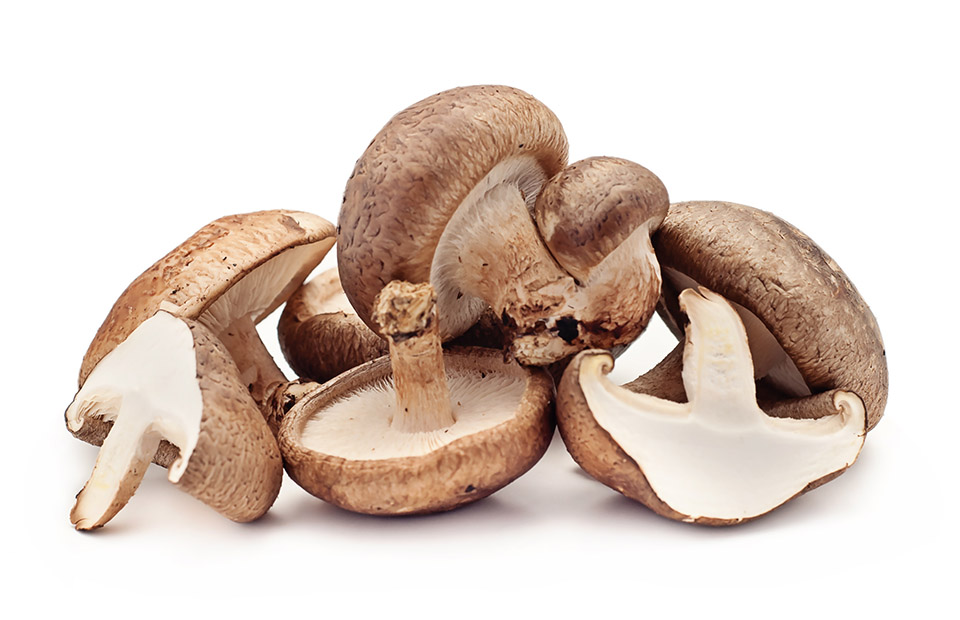 Le proprietà benefiche del fungo Shiitake
