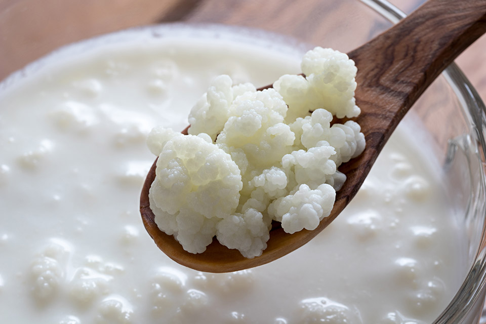Cos’è il kefir e perché fa bene alla salute