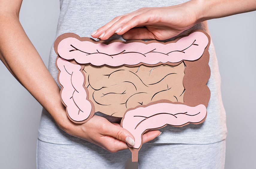 Sapore del sapere e l’intestino intelligente