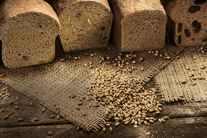 Alla ricerca dell’Alimento Primo
