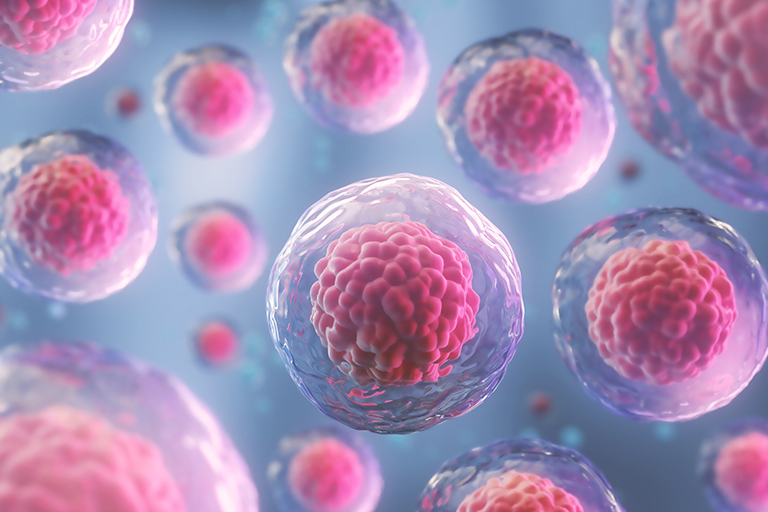 La mente delle cellule