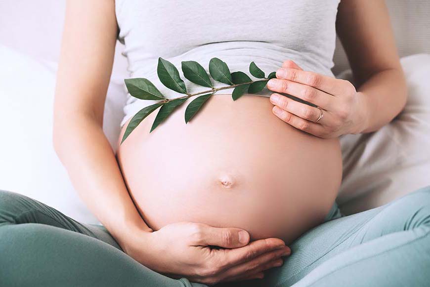 Micronutrienti e fertilità