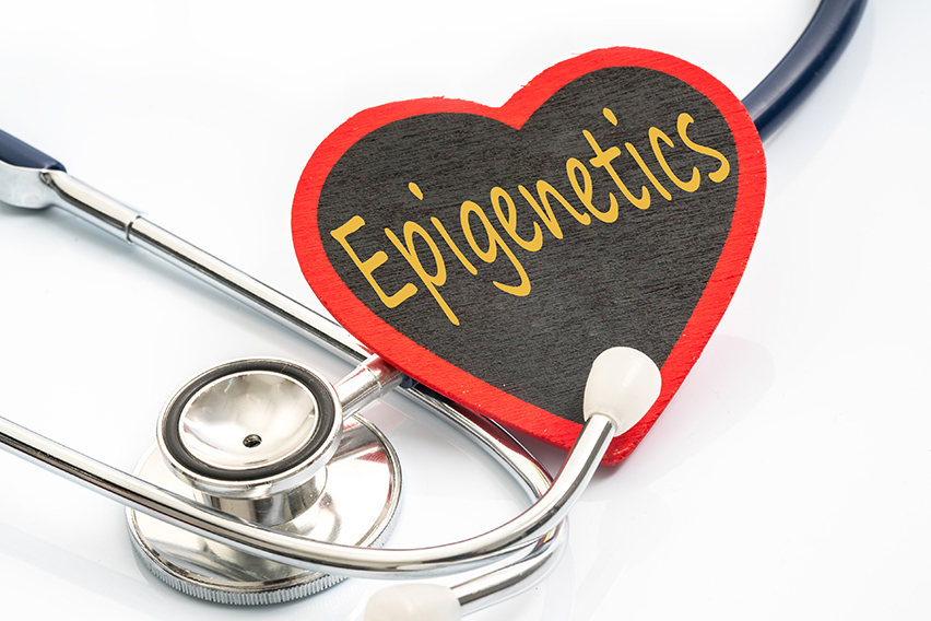 Corso di approfondimento in Medicina Omeosinergetica – Terzo livello