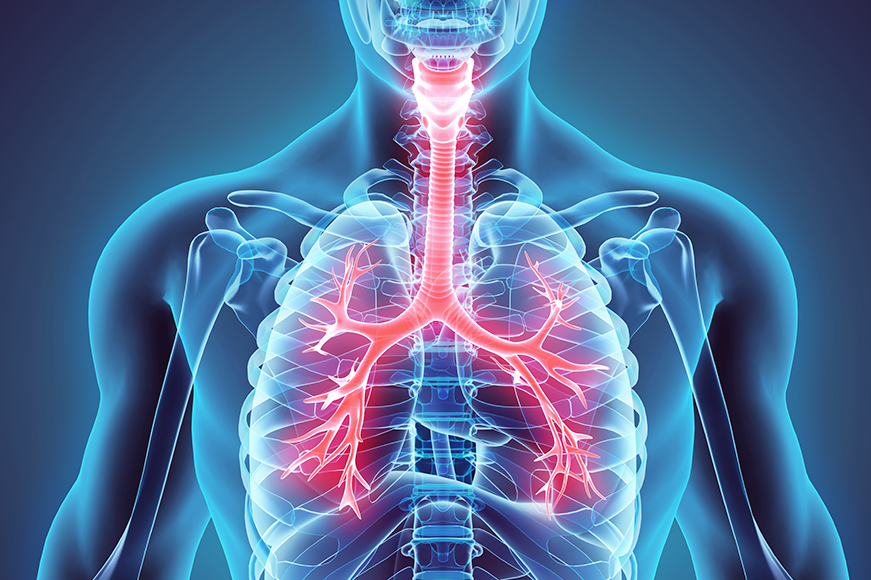 Giornata Nazionale del Respiro e delle Malattie Respiratorie