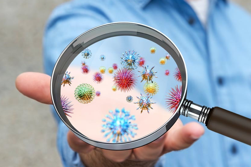 Virus: che fare?