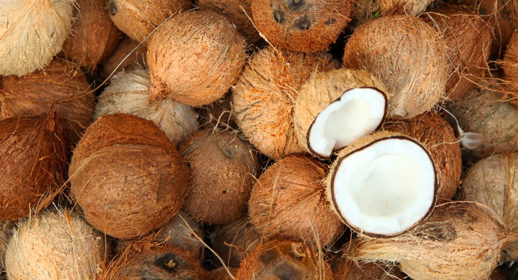 Conosci tutti gli usi del cocco in cucina?