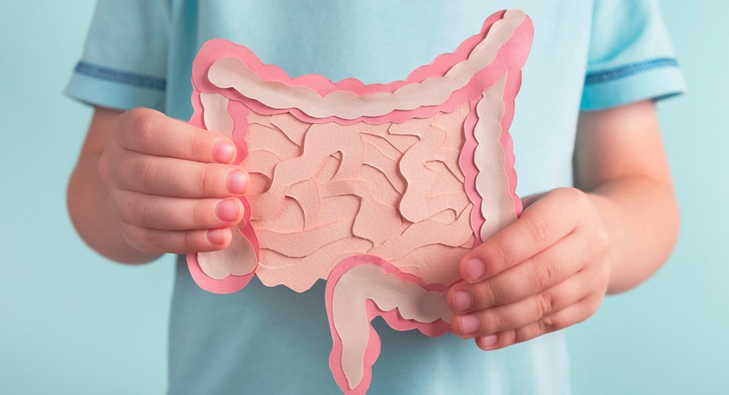 Cosa sono i prebiotici?