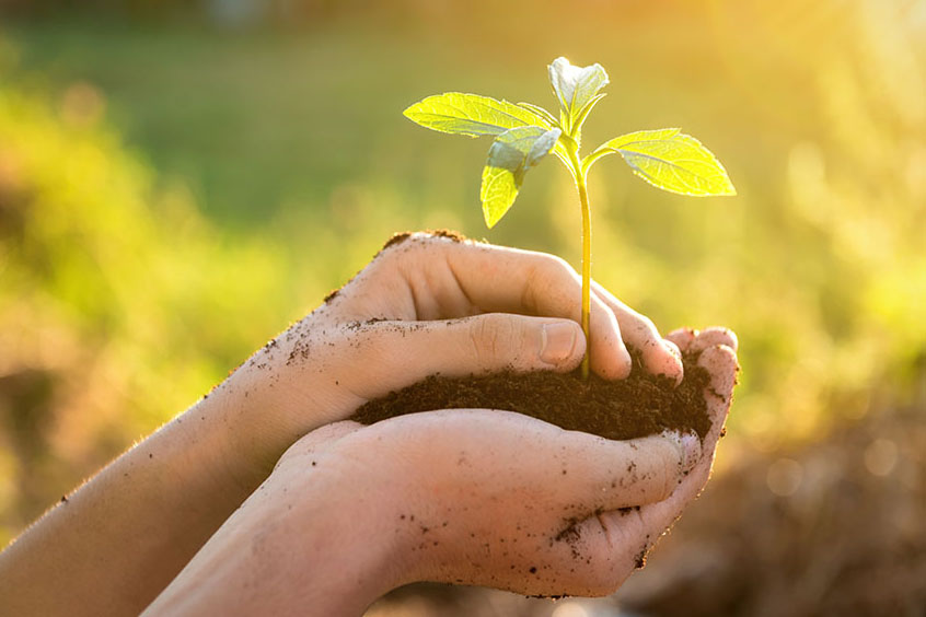 Corso di Agricoltura e Orticoltura Biologica
