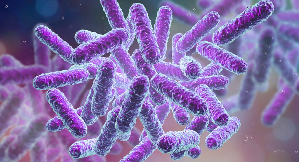 Batteri intestinali: quanto è importante la loro biodiversità?