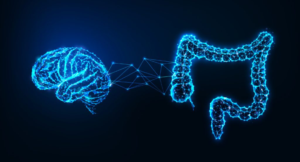 Come l’intestino influenza il cervello?