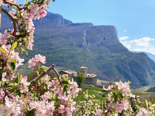 DOLCE LA PRIMAVERA IN VAL DI NON!