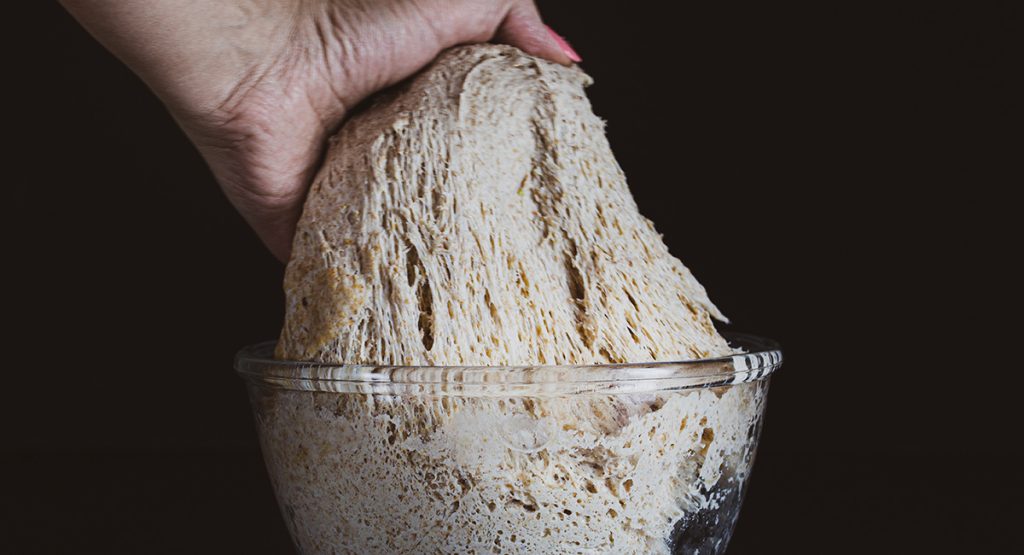 Perché è importante la fermentazione? fermentazione