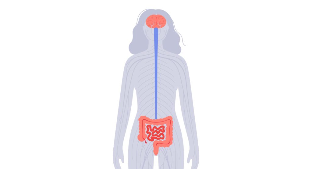 Un microbiota sano riduce l’ansia?
