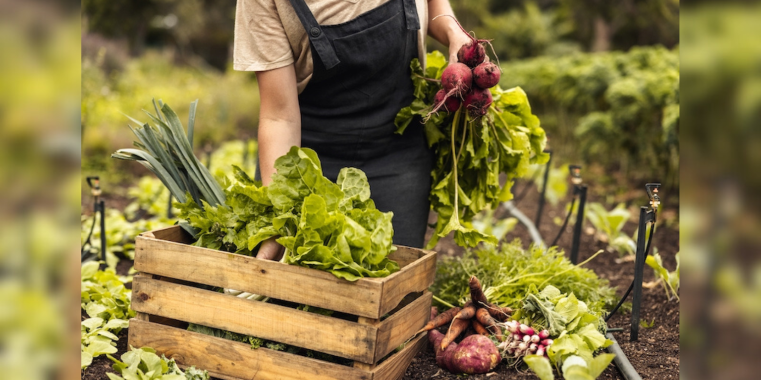 Giornata Europea della Produzione Biologica prodotti biologici, medicina di segnale, alimentazione biologica