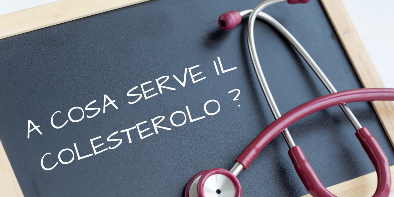 a cosa serve il colesterolo, la funzione del colesterolo, i benefici del colesterolo