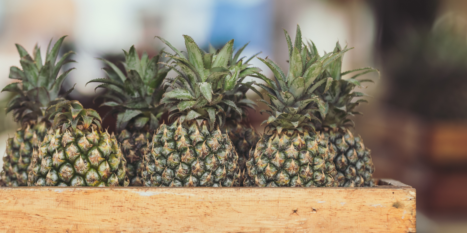 Quali sono i benefici dell’ananas? i benefici dell'ananas