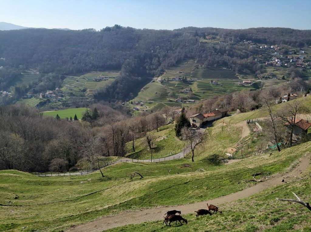 SVIZZERA IN CAMMINO: DALL’1 AL 5 MAGGIO 2024