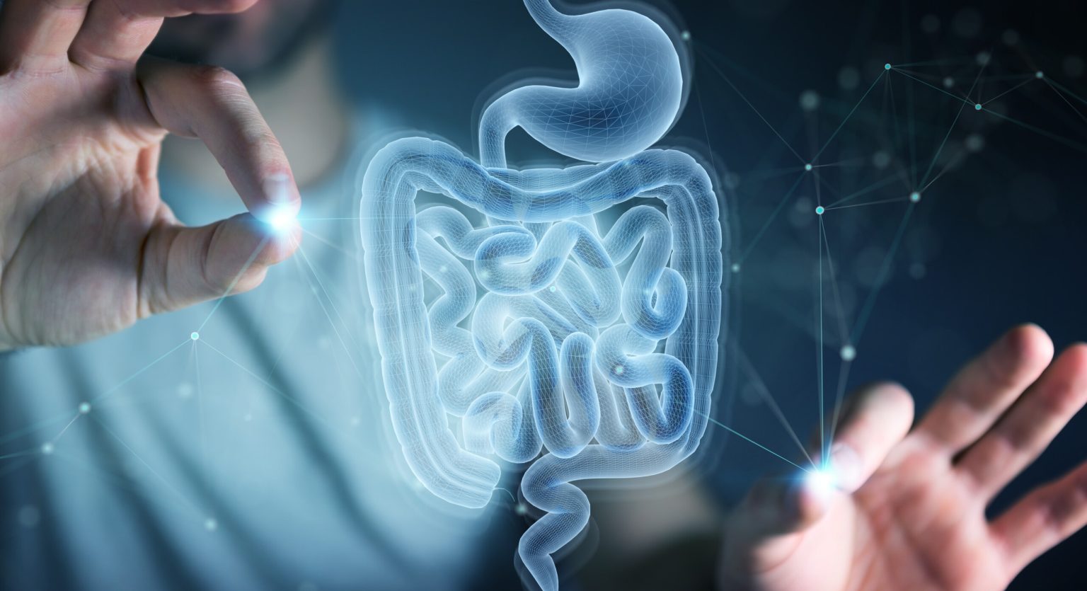 Gut microbiota e leaky gut