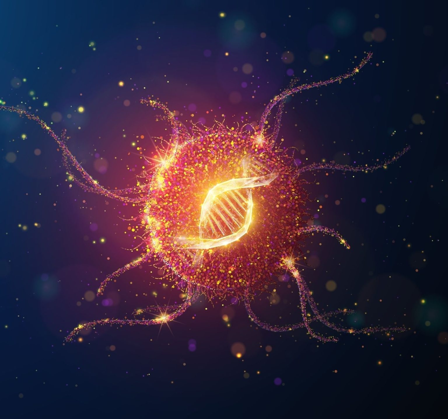 Il futuro dell’oncologia: attraverso lo studio dell’intestino