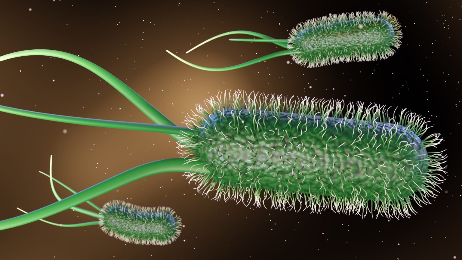 Ingegneria metabolica: un batterio contro il mal di testa